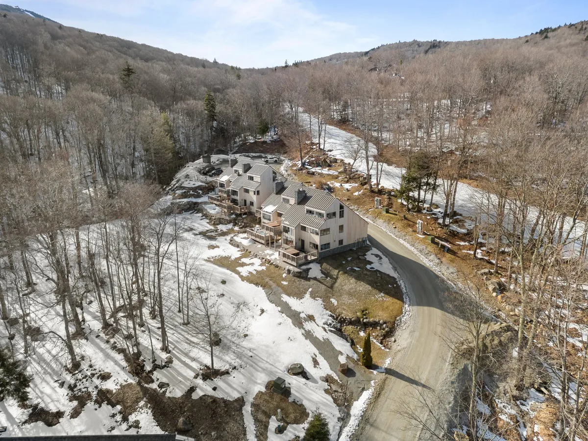 A tranquil winter scene featuring a cluster of houses surrounded by snow, winding roads, and tall trees. The peaceful landscape evokes an atmosphere ideal for outdoor adventures and nature walks with pets.